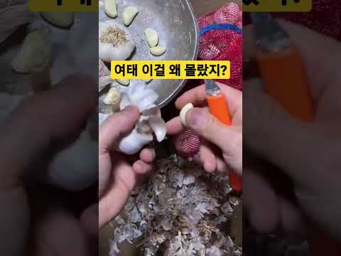 마늘 까는 신박한 방법.. #shorts