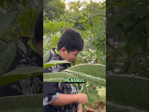 Anak ini menangis rindu kepada kedua orangtua ๐ขโผ๏ธ#shorts #shortvideo
