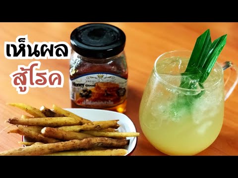 Kaempferia-Honey-Juicehealthy-