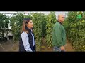 Cuestionario sobre el Control de Clima en Invernaderos de Almería