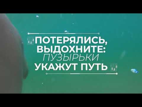 Поведение на воде