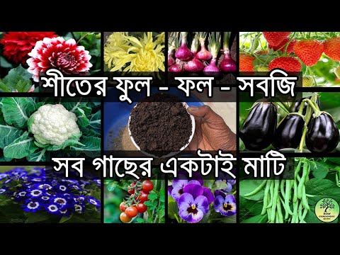 শীতের সব গাছের জন্য একটাই মাটি | Best Soil for winter plants | Roof Gardening