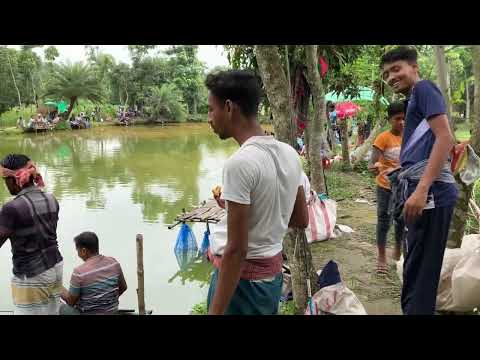 Village fishing 🎣 It's really enjoyable moment of village peoples 🐟