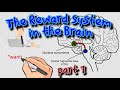 Brain Reward System and Dopamine