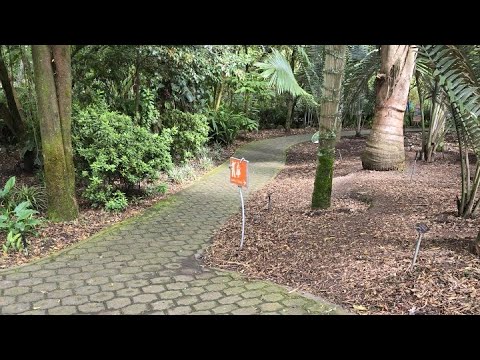 JARDÍN BOTÁNICO (LA CAROLINA) QUITO-ECUADOR