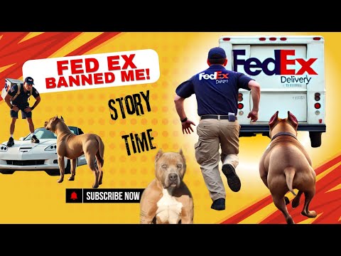 AITA? Fed Ex banned me because of my dogs!  WTF! Story Time!