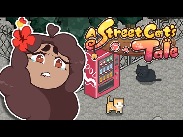 Befriending the Other Stray KITTENS?! ? A Street Cat's Tale • #3