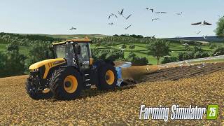 FIELD GULLS By OZZ Is An Insane Mod ! | FS25