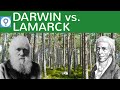 evolutionstheorie-lamarck-darwin-vergleich/