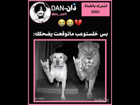 اخر شيي😭💔...؟!  #blackpink #kpop #tiktok #jennie #jk #جيني #بلاكبينك #explore