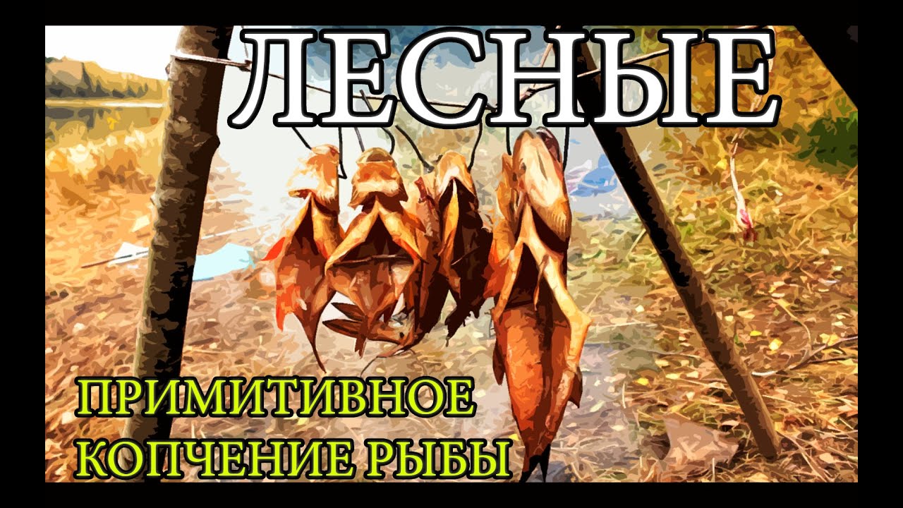 Дикая кухня - копчение рыбы в типи smoking fish - primitive style