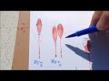 Blood Spatter Analysis Concepts