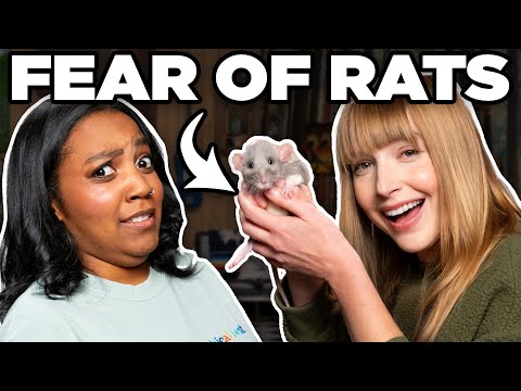 I Faced My Biggest Fear