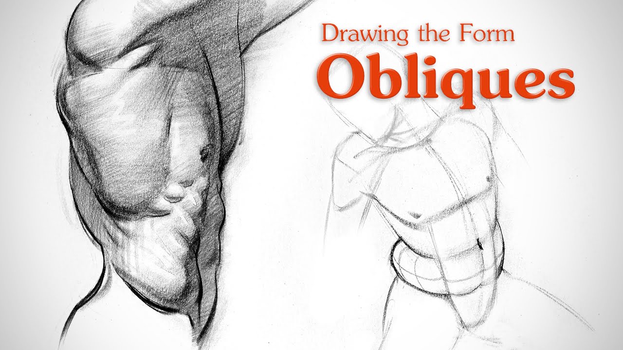 How to Draw Obliques - Form - Proko