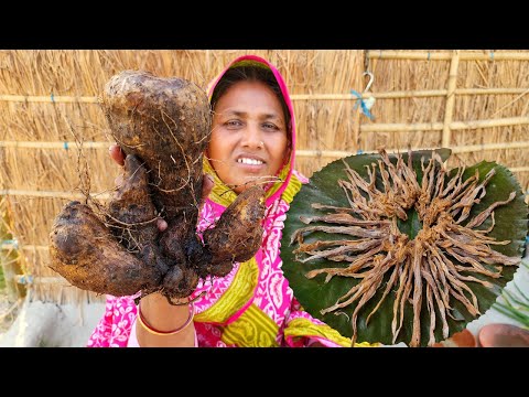 জঙ্গলের মাছ আলু রেসিপি Wild Purple Yam & Loitta Shutki Recipe MATI ALU CURRY Gach Aloo Shutki Recipe