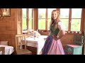 Ausseherdirndl: Schürzen und Merkmale