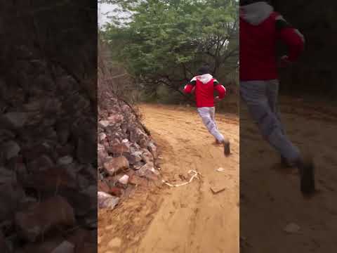 Anaconda Chase Boy Begins Again ๐ #snake #shorts