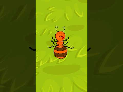 Una Historia MUY TRISTE 😢