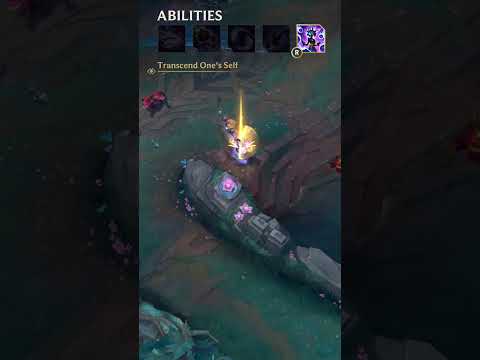 Yunara Champion Spotlight