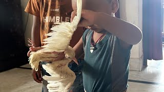Manas, Mitansh ka masti  कबूतर के साथ   #trending #video