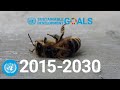 Global Issues and Climate Impact