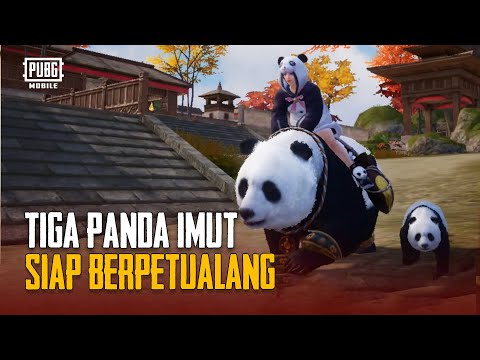 PUBG MOBILE | Tiga Panda Imut Berpetualang