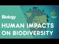 Impact of Human Activities on Biodiversity