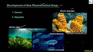 Benefits of Marine Biotechnology