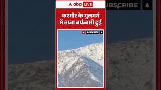 KASHMIR के गुलमर्ग में ताजा बर्फबारी हुई |ABPLIVE
