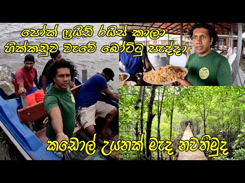 හික්කඩුවේ ශයිනි 😍 වතුර උඩ ගෙදරක නවතින්න තැනක් 👍 Shiny Lake Side Resort Hikkaduwa
