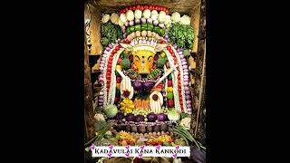 ✨ஆஷாட நவராத்திரி தினத்தில் தஞ்சாவூர் வாராஹி அம்மன் காய்கறிகள் அலங்காரத்தில்!#varahi#ashadanavaratri