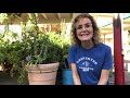 Plant Growth and Nutrition Concepts