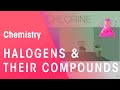Uses of Halogens and Their Compounds