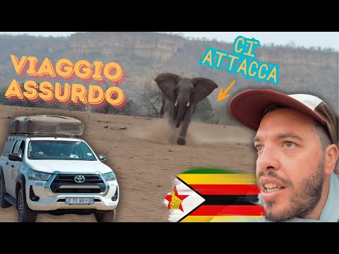 Viaggio ASSURDO in Zimbabwe 🇿🇼 ELEFANTE ci attacca