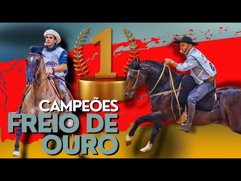 Campeões do Freio de Ouro na EXPOINTER de 2024/ Cavalo Crioulo