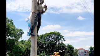 তাল সব বস্তায় ভরে নিয়ে গেলো 🤣