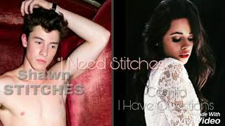 Shawn and Camila : "I Need Stitches" By Shawn Mendes Channel