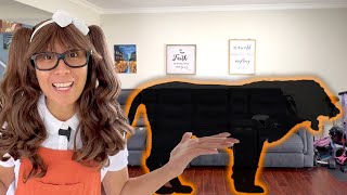 Safari Animals for Kids | GUESS and HUNT 12 Safari Animal Shadows with Soso!