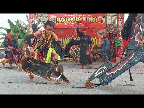Perang Celeng Jaranan MANGGOLO PUTRO Nganjuk