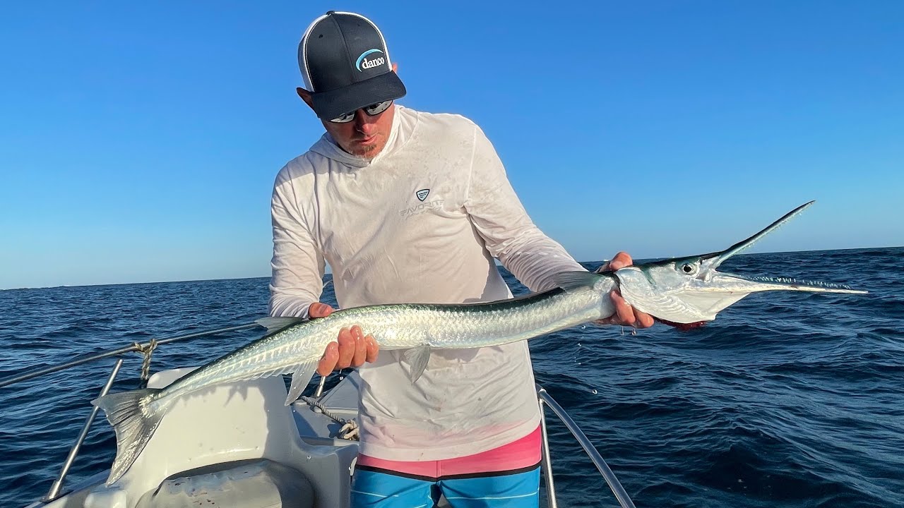 MASSIVE -NEEDLE FISH- Catch Clean & Cook (Cabo, Mexico) - Bluegabe