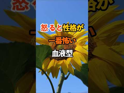350万ビュー🎉 怒ると性格が一番怖い血液型  #雑学 #名言 #知恵 #開運