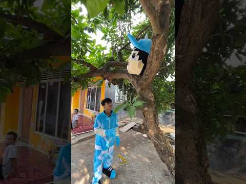 Kepala boboiboy nyangkut di pohon