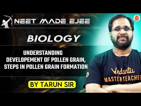 NEET Botany 2025 | Understanding Steps in Pollen Grain Formation | Tarun Sir