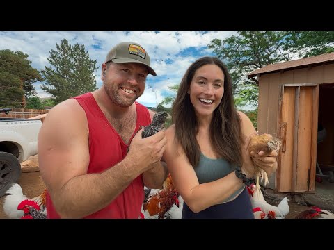 We’re Growing Our Family!
