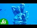Marine Life and Shipwrecks