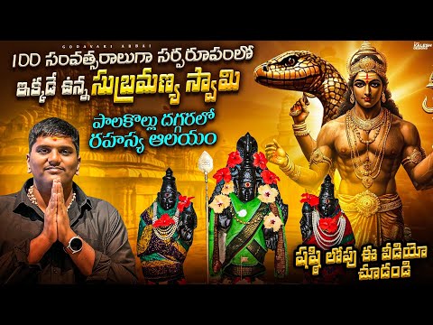 సష్టి లోపు Video  చూడండీ  | పిలిస్తే పాము రూపం లో వస్తున్న సుబ్రమణ్యశ్వేర స్వామి | Palakollu