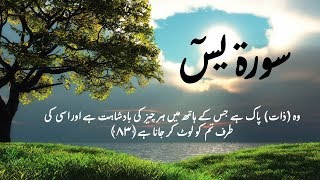 Surah Yaseen-Best Recitation Ever-The Final Revelation Mishary al Afasy