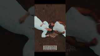 La Cura - Dj Gordo x Macafi (preview)