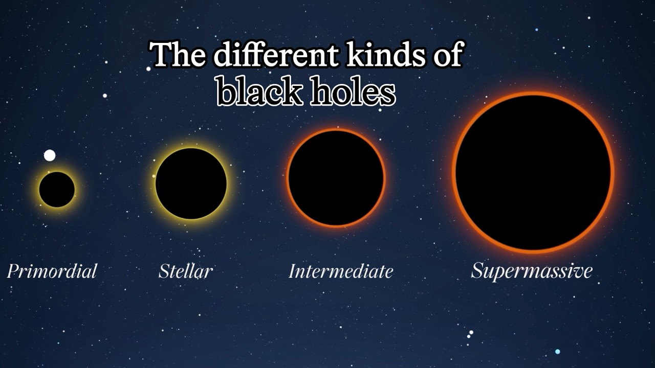 What kinds of black holes exist—and how are they different? | Science News