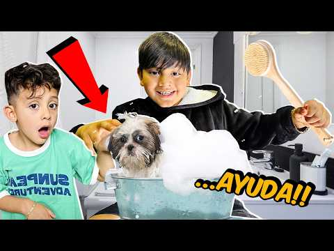 BAÑAMOS A KIMA por PRIMERA VEZ 🐶 | Family Juega